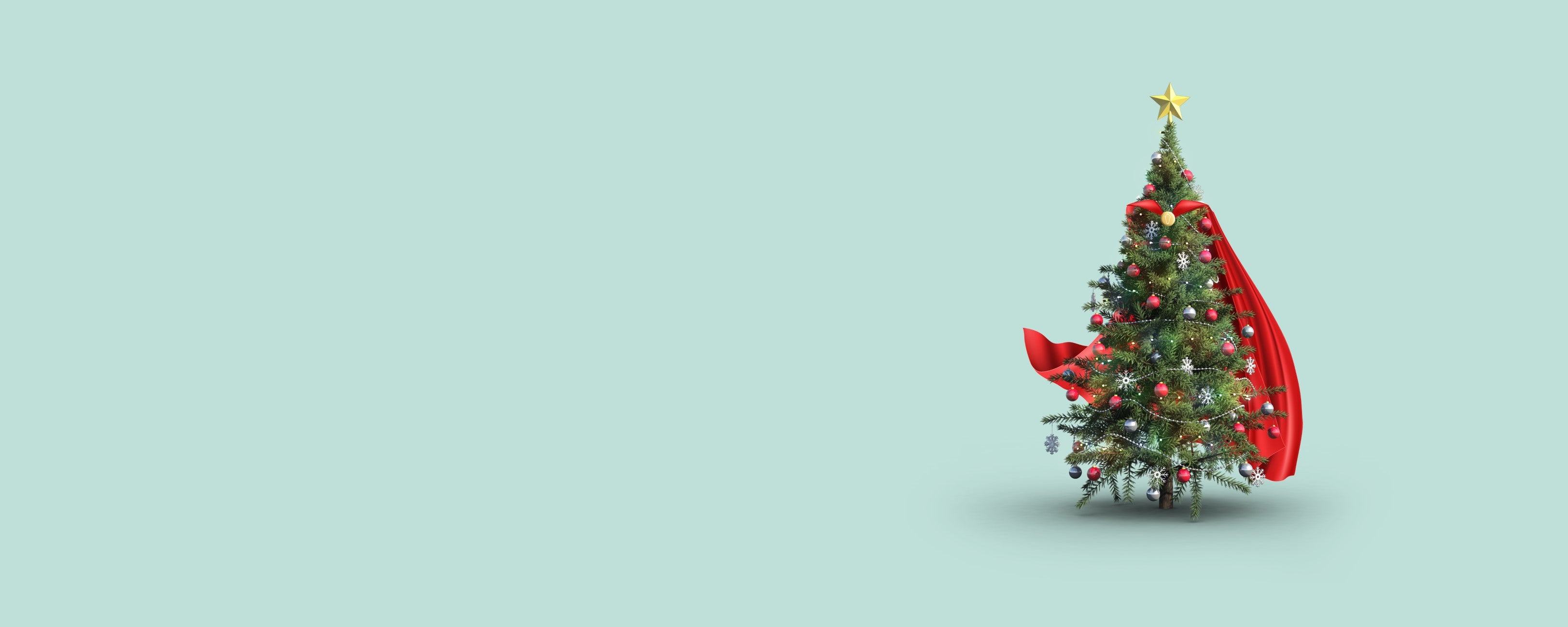 Tannenbaum trägt Transporthülle als Superheldenumhang