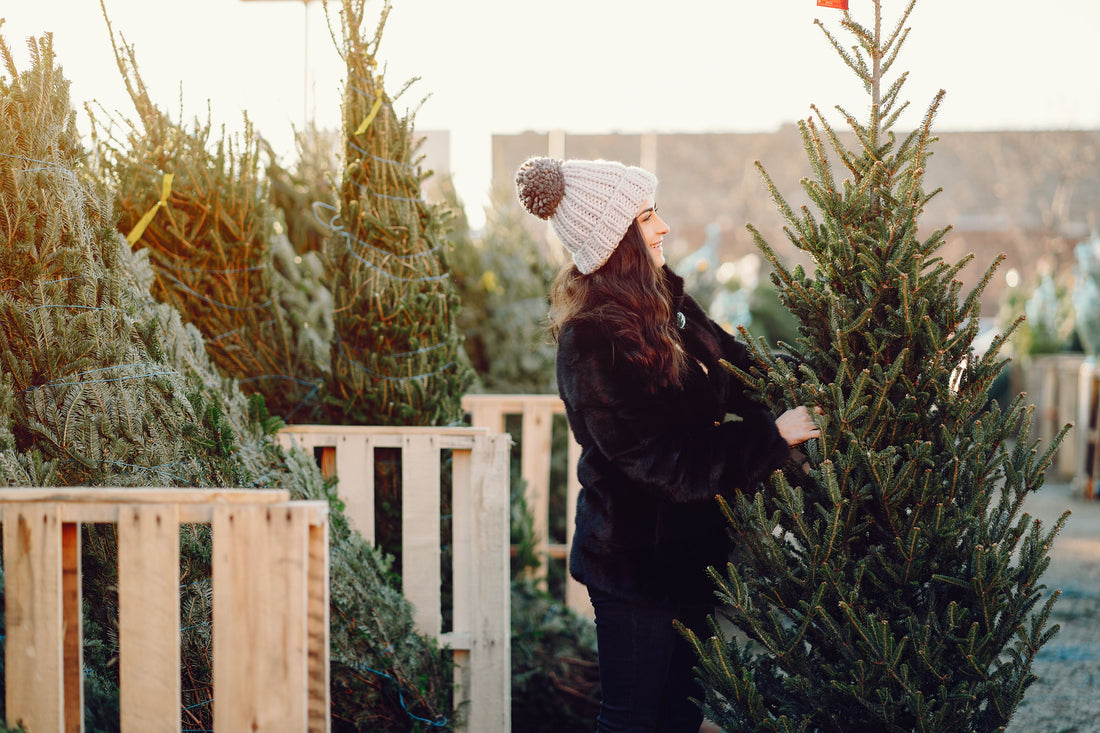 Welcher Weihnachtsbaum nadelt nicht?