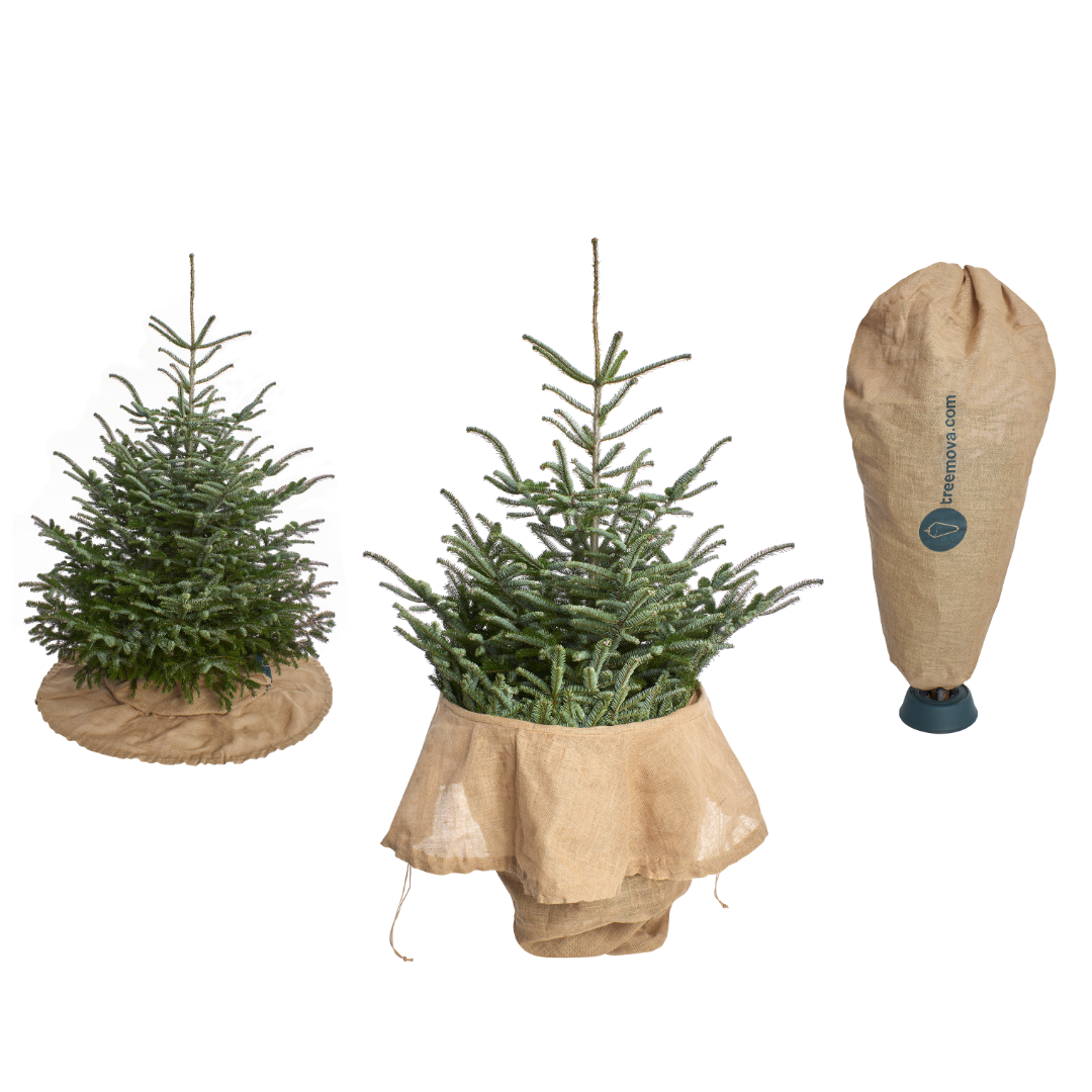 Weihnachtsbaumdecke & Transporthülle für Tannenbäume