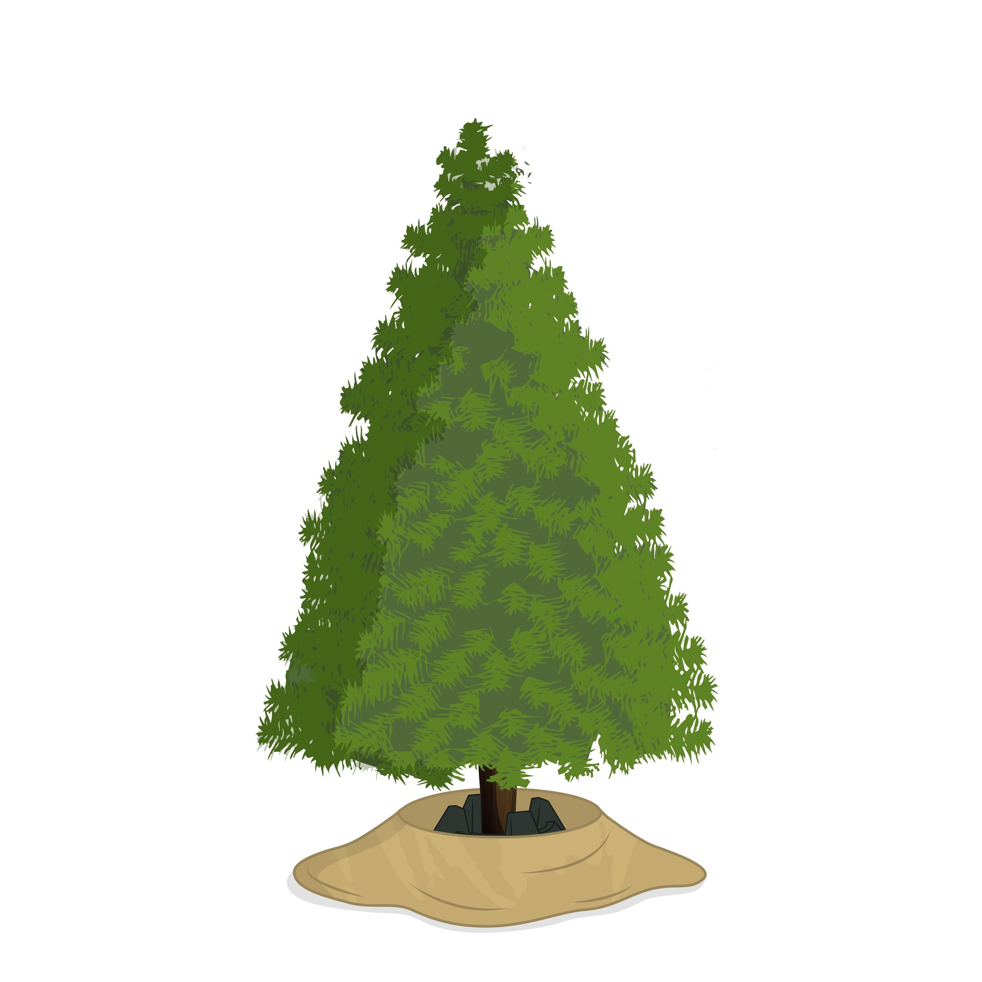 Illustration - Tannenbaum, Weihnachtsbaum, Christbaum mit unserer treemova Weihnachtsbaum Transporthülle als Weihnachtsbaumdecke unterm Baum ausgebreitet